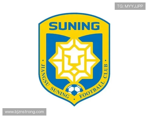 南京足球队实力分析与数据解读:揭示球队表现的关键因素与趋势