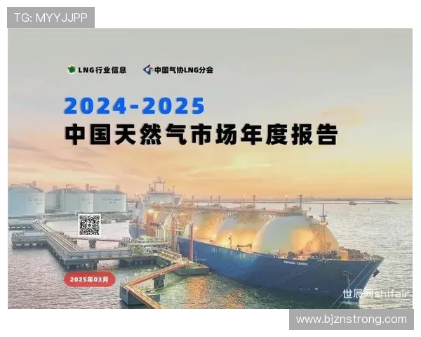 数据分析揭示LNG技术表现的优势与挑战及其未来发展趋势 数据分析揭示LNG技术表现的优势与挑战及其未来发展趋势