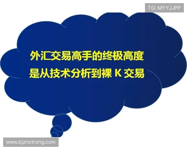独家解析:北京排球队在比赛中速度表现的全面对比与分析 独家解析:北京排球队在比赛中速度表现的全面对比与分析