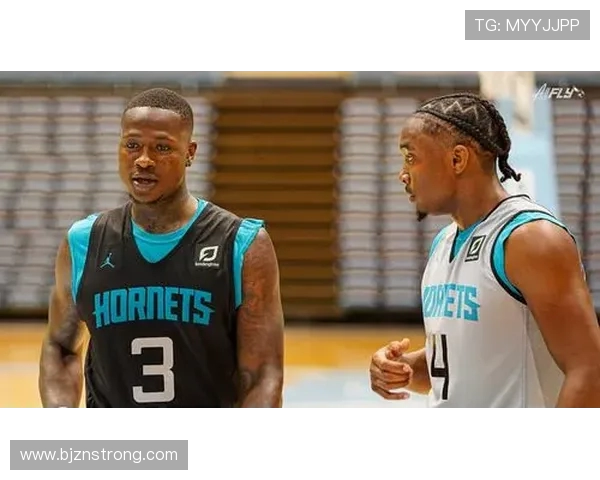 特里罗齐尔的篮球之路从新秀到明星球员的蜕变与成长历程