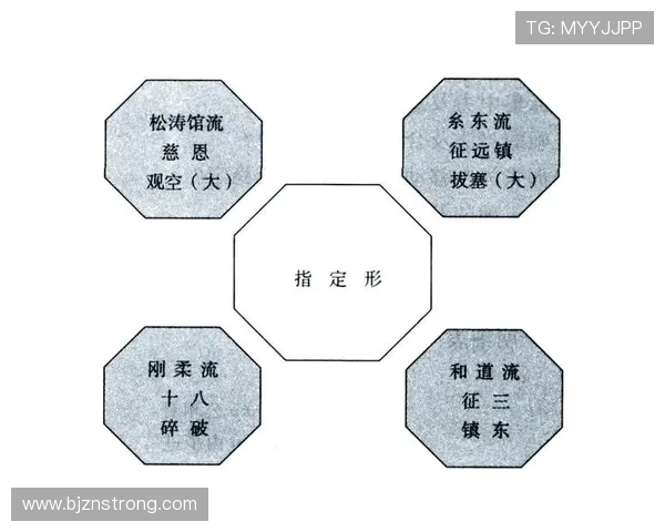 北京足球队在世界锦标赛中的节奏表现分析与点评